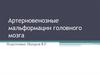 Артериовенозные мальформации головного мозга