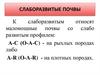 Слаборазвитые почвы. (Лекция 7)