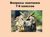Вопросы знатокам 7-9 классов