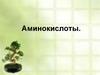 Аминокислоты