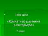 Комнатные растения в интерьере. 7 класс