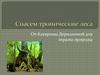 Спасем тропические леса