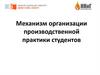 Механизм организации производственной практики студентов