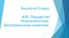 Подцарство Многоклеточные. Беспозвоночные животные. 5 класс
