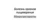 Болезнь органов пищеварения. Макропрепараты