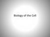 Biology of the Cell