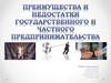 Преимущества и недостатки государственного и частного предпринимательства