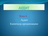 Аудит капитала организации