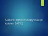 Антигенпрезентирующие клетки (АПК)