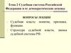 Судебная система Российской Федерации и ее демократические основы. Часть 1. Тема 2