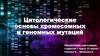 Цитологические основы хромосомных и геномных мутаций