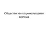 Общество, как социокультурная система