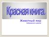 Животный мир Бобровского района. Красная книга Российской Федерации