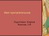 Имя прилагательное (задания)