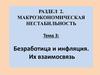 Макроэкономическая нестабильность. Безработица и инфляция. Их взаимосвязь