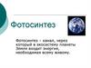 Фотосинтез. Хлоропласты. Схема и механизм фотосинтеза