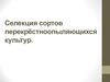 Селекция сортов перекрёстноопыляющихся культур