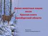 Дикие животные наших лесов. Красная книга Оренбургской области