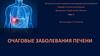Очаговые заболевания печени