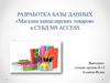 Разработка базы данных «Магазин канцелярских товаров» в УБД MS ACCESS