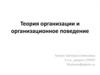 Теория организации и организационное поведение