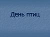 День птиц