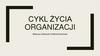 Cykl życia organizacji