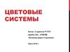 Цветовые системы