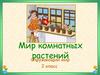 Мир комнатных растений. Окружающий мир 2 класс