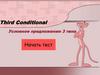 Third conditional. Test 3