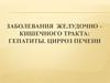 Заболевания желудочно – кишечного тракта. Гепатиты. Цирроз печени