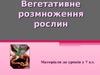 Вегетативне розмноження рослин