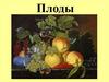 Плоды. Классификация плодов