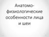 Анатомо-физиологические особенности лица и шеи