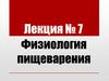 Физиология пищеварения