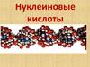 Нуклеиновые кислоты