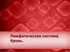 Лимфатическая система. Кровь. Тема 21. ч1