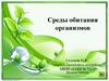 Среды обитания организмов