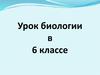 Значение растений в природе и жизни человека