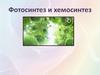 Хемосинтез і фотосинтез