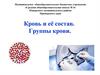 Кровь и её состав. Группы крови