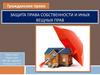Защита права собственности и иных вещных прав