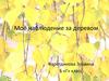 Моё наблюдение за деревом. 5 класс