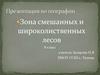Зона смешанных и широколиственных лесов