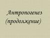 Антропогенез (продолжение)