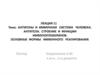 Антигены и иммунная система человека. Антитела. Строение и функции иммуноглобулинов