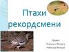 Птахи рекордсмени