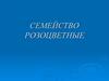 Семейство Розоцветные