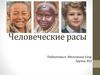 Человеческие расы
