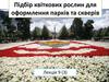 Підбір квіткових рослин для оформлення парків та скверів